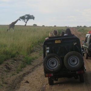 Safaris-main-1024x576